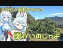 2023年12月14日　農作業日誌P843　出稼ぎ先で青島を切り、出っ張った雑草を切った