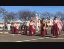 実践女子よさこいWINGさんに オリジナル楽曲を載せてみたら妙に合ってしまった件PT5