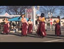 実践女子よさこいWINGさんに オリジナル楽曲を載せてみたら妙に合ってしまった件PT6
