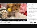 【ゆのんちゃん】「【癒しの湯豆腐魔界】擬似家族にゆのん©︎の笑顔をプレゼント魔界^_^ノ✨」　①【2023/12/15】