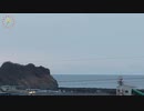 2023.12.15 (48倍速)ﾆｺ生TSDL