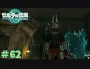魔を纏いし異次元の王　「ゼルダの伝説～ティアーズ・オブ・ザ・キングダム」　＃62