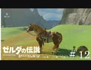 はじめてのお馬ちゃんはきりん【ゼルダの伝説ブレスオブザワイルド】#12