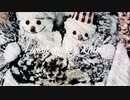 I wish merry X'mas
