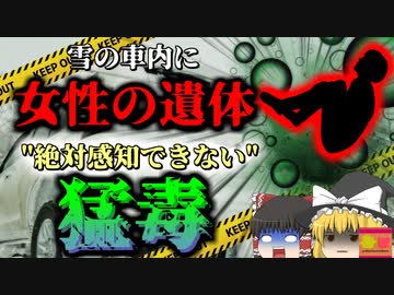 【2022年】自宅前に停めた車に亡くなった女性 彼女は停電の夜に何をしていた？ "絶対に気付けない猛毒"　冬場の車内に潜む危険 『自動車一酸化炭素中毒』【ゆっくり解説】