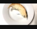 食物 ／ 重音テト