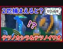 ポケモンSV テツノカシラ＆テツノイワオを捕獲せよ！出現場所は？ 2匹を捕獲すると・・・！？ ポケモンスカーレット＆バイオレット 藍の円盤 攻略 実況プレイ【メイルス】