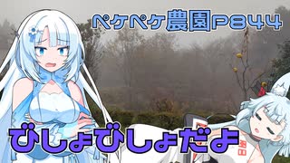 2023年12月15日　農作業日誌P844　雨が降る中でも直売所の荷造りをしていたがびしょびしょ