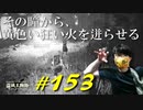 オリティスの魔術師塔で謎解きしたり串刺しの地下墓を探索したりヤバイ村に辿り着いたりします【初見】エルデンリング実況／盗賊王物語【オフライン】#153