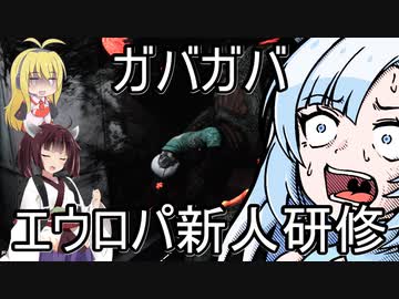 ガバガバエウロパ新人研修【Abysm】
