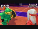 【実況】魔族の王子とエルフの旅【DQM3】＃12