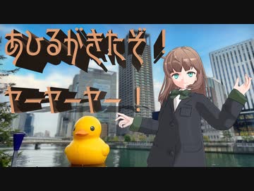 まろんとチン風景！あひるがきたぞ！ヤア！ヤア！ヤア！