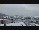 2023.12.16(40倍速)ニコ生TSDL