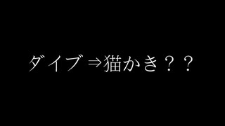 猫お風呂溺れ耐久動画