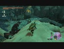 【Switch】リンクがゾナウとゼルダ探し旅【プレイ動画】part110