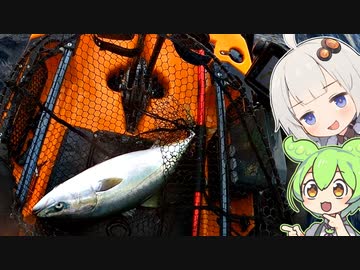 【VOICEROIDフィッシング】楽しいカヤックフィッシング #26 青