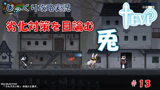 【TEVI】第１３回　劣化対策を目論む兎　じっくり攻略実況　テビィ