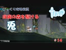 【TEVI】第１４回　疫病の森を駆ける兎　じっくり攻略実況　テビィ