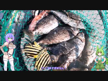 ソフトウェアトークフィッシングXV 紀州釣り