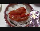 ちょいとお魚釣り6 釣果が悪いなら漁具でお魚捕ればいいじゃない