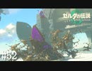 【ゼルダの伝説 Tears of the Kingdom】水の賢者【実況】#52