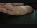 右足たこ：help me Japan　Please subscribe to our channel.