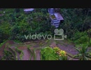 Rural Villages And Rice Terraces Fields In Tegalalang Near Ubud, Bali Indonesia