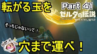 転がる玉を穴まで運べ！【ゼルダの伝説 ブレス オブ ザ ワイルド】PART 41