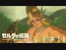 初めての大妖精の泉【ゼルダの伝説ブレスオブザワイルド】#14