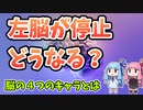 左脳が停止した人の世界とは