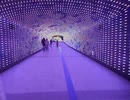 【残念動画】トゥインクルトンネル【東京メガイルミ】