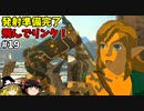 【ゆっくり実況】5度目のゼルダ！ 初めてのティアーズオブザキングダム！ part19 【ティアーズオブザキングダム】