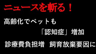 【ニュースを斬るvol.199】高齢化でペットも「認知症」増加　診療費負担増　飼育放棄要因にも【切り抜き】【雑談】【アフラン】