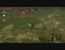 #64【ゼルダの伝説 ブレス オブ ザ ワイルド】パラセールでどれだけ飛べるか！