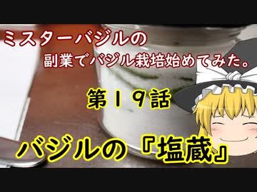 19話Mrバジルの副業でバジル栽培始めてみた。
