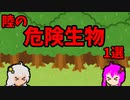 【VOICEROID解説】ゆかり先輩と見る危険生物【陸編⑧】
