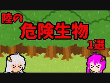 【VOICEROID解説】ゆかり先輩と見る危険生物【陸編⑧】