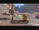 初プレイ、ハート縛りでクリアするゼルダの伝説ティアーズオブキングダム【2023年8月20日放送】4/4