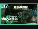 #217【ゼルダの伝説ティアーズオブザキングダム】ちょっと世界を翔けてくる【実況プレイ】
