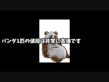 パンダ一匹の値段