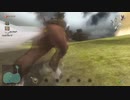 ゼルダの伝説　トワイライトプリンセスHD　part 18＜The Legend of Zelda: Twilight Princess HD＞