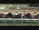 2016 有馬記念　サトノダイヤモンド