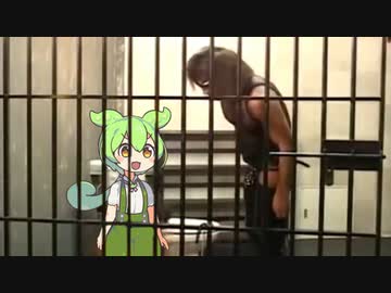 ずんだもんを調教するタクヤさん