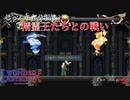 【Deedlit in WONDER LABYRINTH】第３回　精霊王たちとの戦い　じっくり気分転換　ロードス島戦記　ディードリット　イン　ワンダーラビリンス