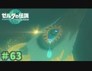 龍の泪の真相が切なすぎる　「ゼルダの伝説～ティアーズ・オブ・ザ・キングダム」　＃63