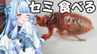 【昆虫食レビュー】セミを食う。【A.I.VOICE】