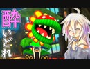 酔いどれドライバーセイカさん #495【マリオカート8DX】