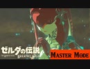 【実況】一番お世話になったチカラ【ゼルダの伝説 ブレスオブザワイルド】＃19