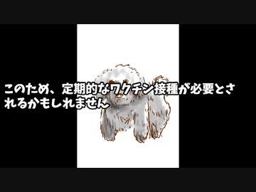 コロナワクチンの効果期間
