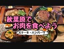 【グルメ・ランチ】秋葉原でお肉を食べよう【ステーキ・焼肉・ハンバーグ】